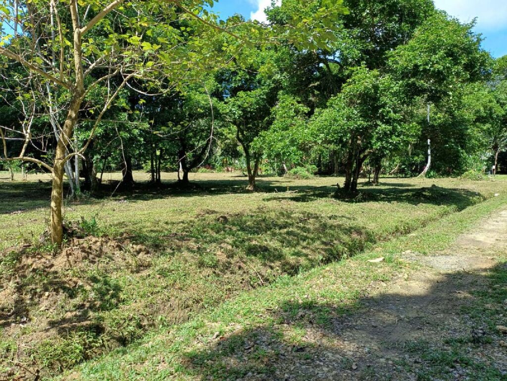 Property photo for land for sale in County Panama