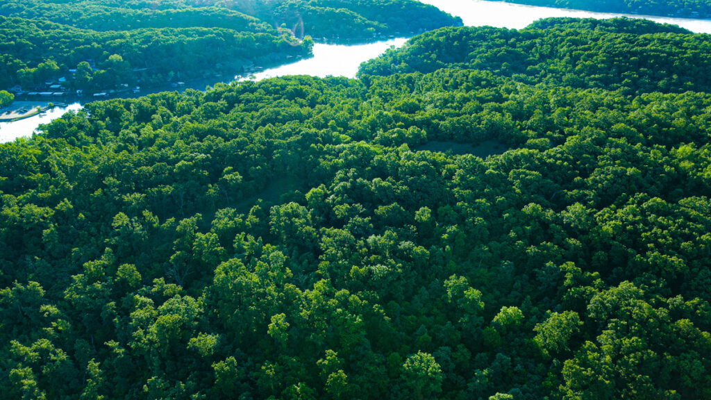 Property photo for land for sale in Camden County Missouri