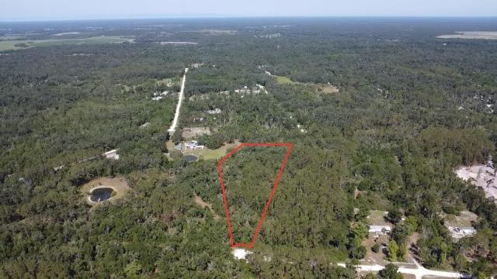 Property photo for land for sale in Dixie County Florida