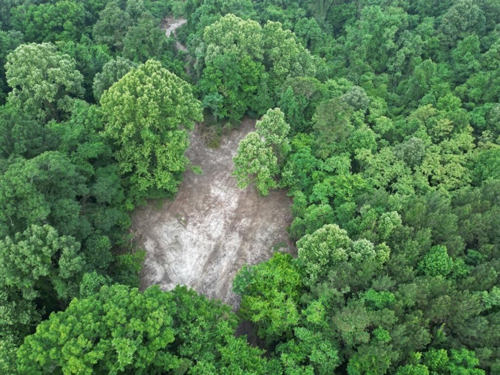 Property photo for land for sale in Franklin County Mississippi