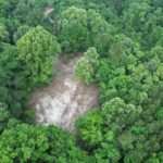 Property photo for land for sale in Franklin County Mississippi