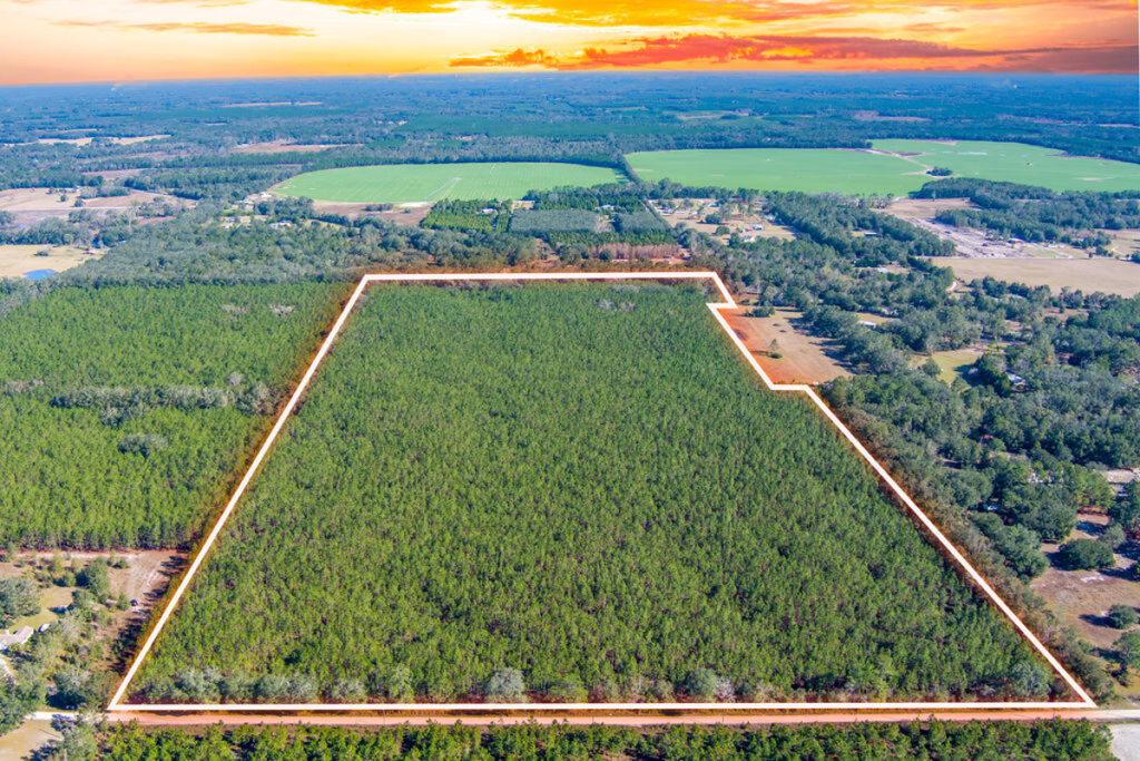 Property photo for land for sale in Suwannee County Florida