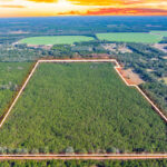 Property photo for land for sale in Suwannee County Florida