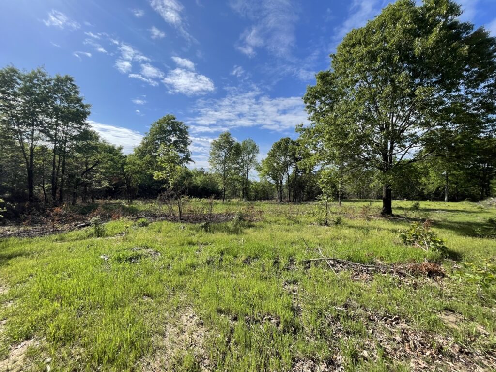 Property photo for land for sale in Choctaw County Oklahoma