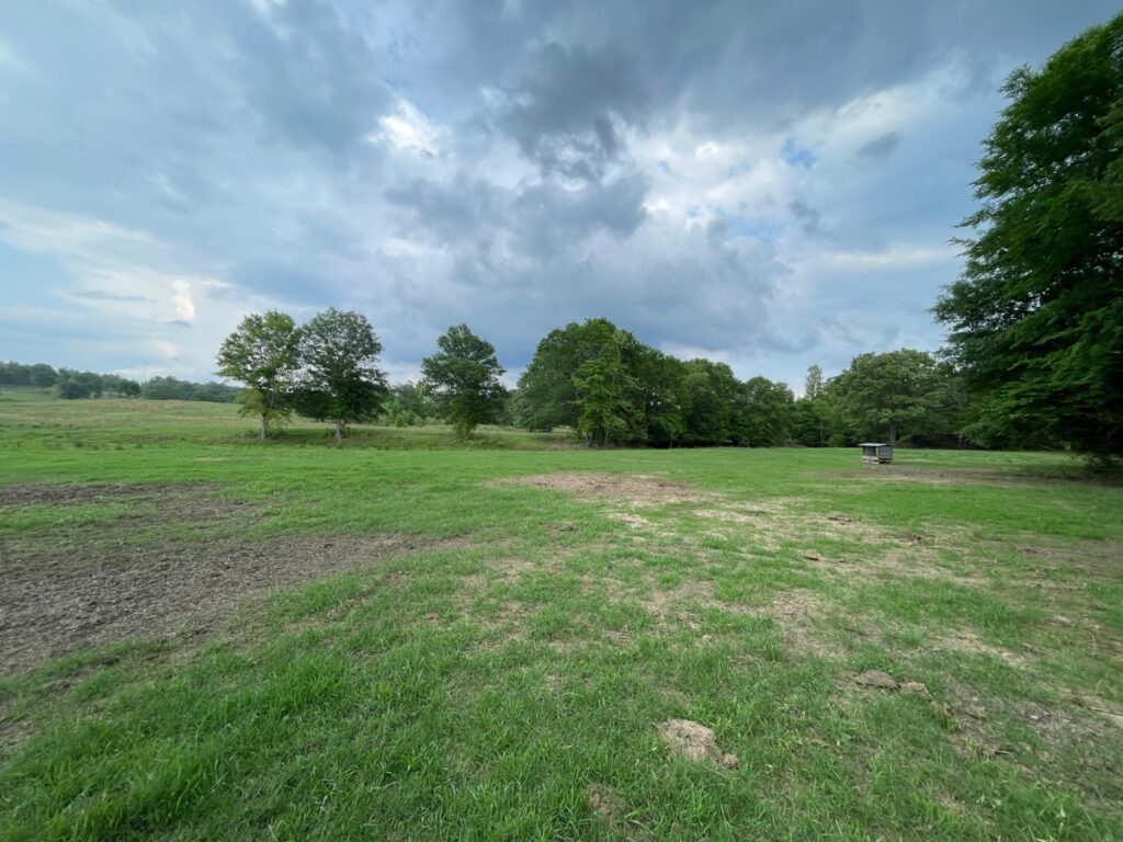 Property photo for land for sale in McCurtain County Oklahoma