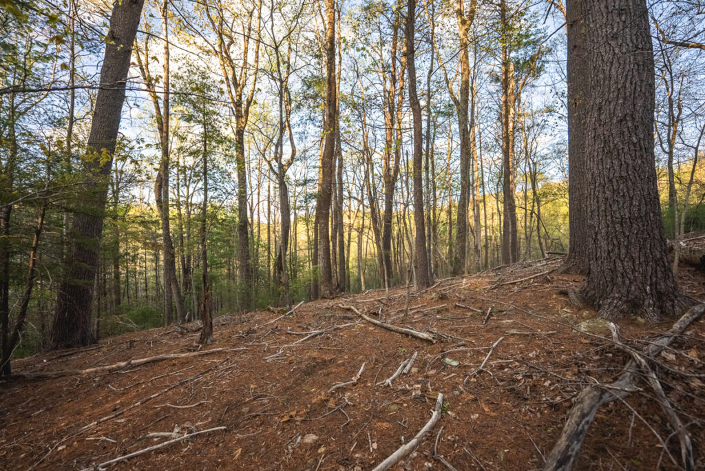 Property photo for land for sale in Roanoke County Virginia