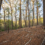 Property photo for land for sale in Roanoke County Virginia