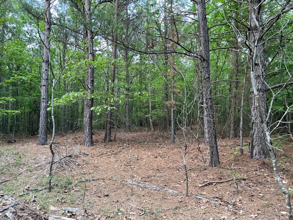 Property photo for land for sale in McCurtain County Oklahoma