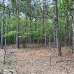 Property photo for land for sale in McCurtain County Oklahoma
