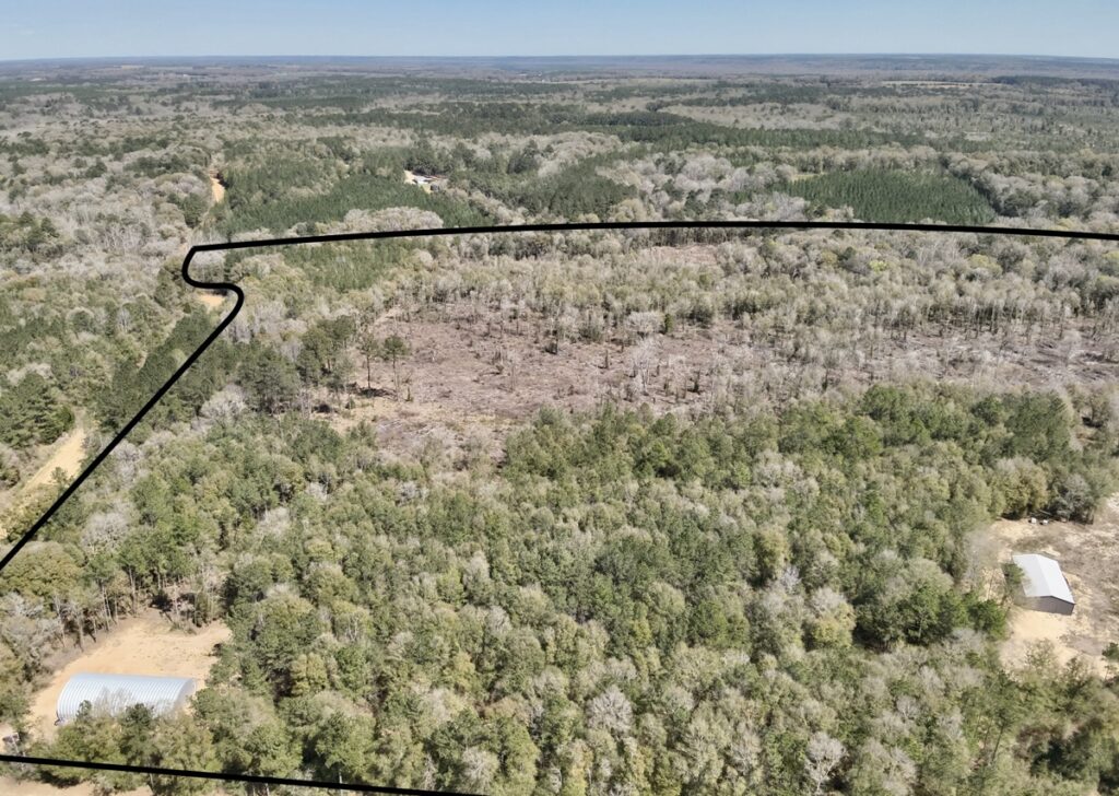 Property photo for land for sale in Geneva County Alabama