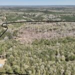 Property photo for land for sale in Geneva County Alabama