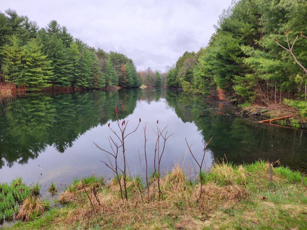 Property photo for land for sale in Sauk County Wisconsin