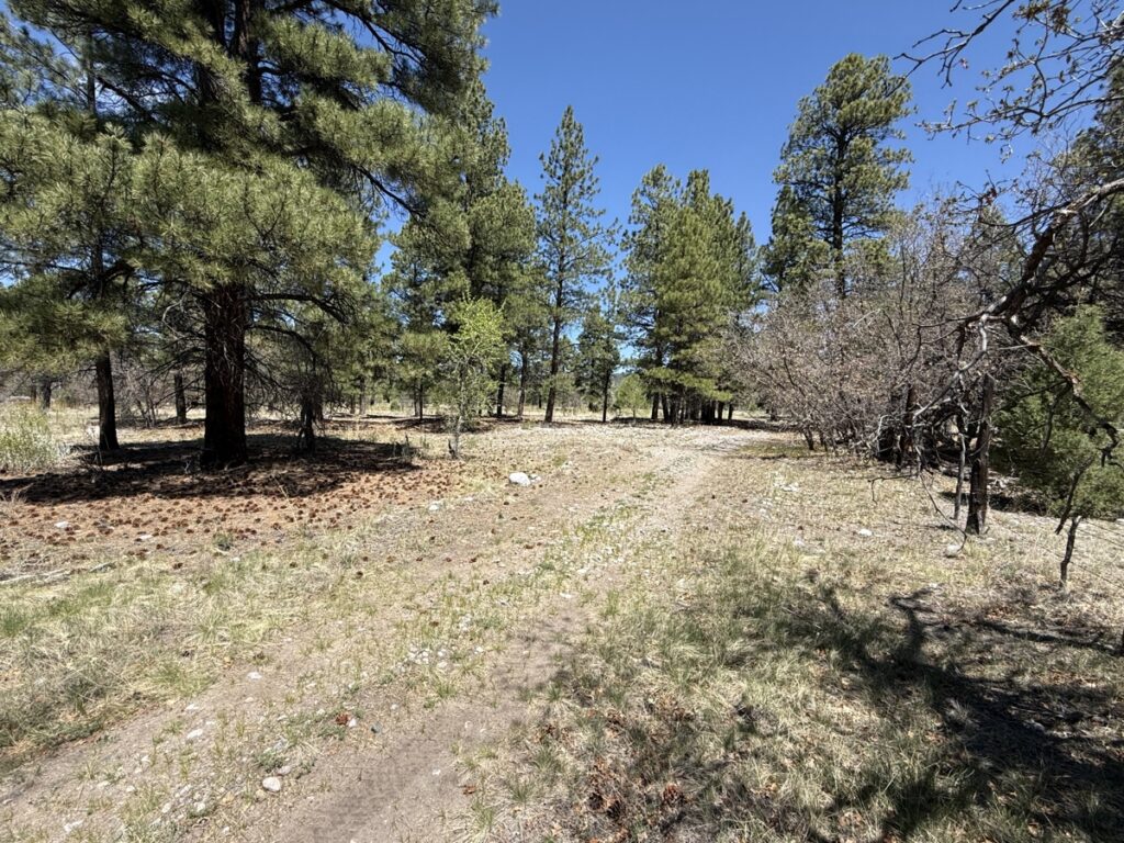 Property photo for land for sale in Rio Arriba County New Mexico