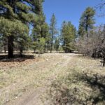 Property photo for land for sale in Rio Arriba County New Mexico