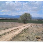 Property photo for land for sale in Torrance County New Mexico