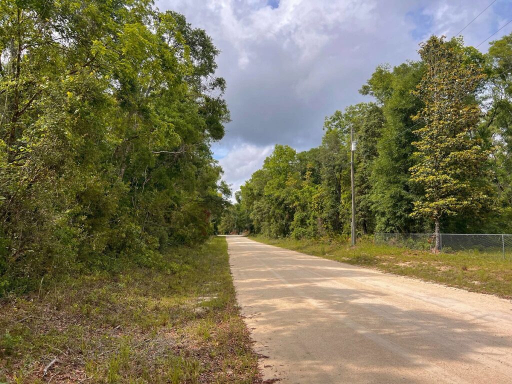 Property photo for land for sale in Dixie County Florida