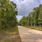 Property photo for land for sale in Dixie County Florida