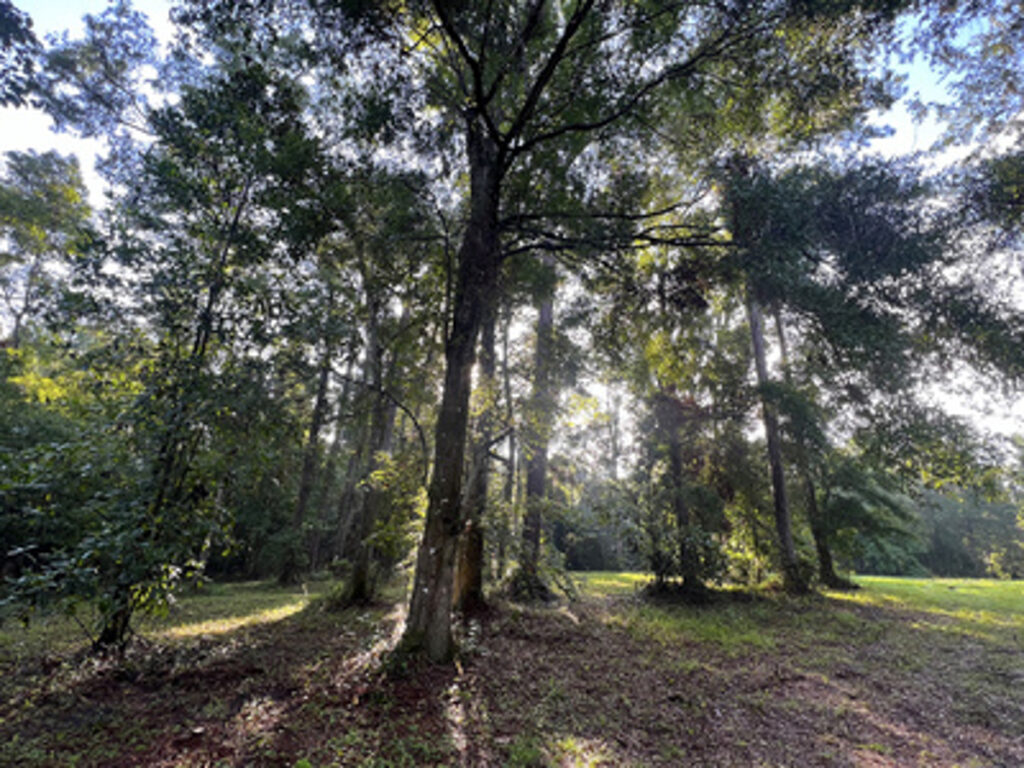 Property photo for land for sale in Columbia County Florida