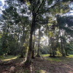 Property photo for land for sale in Columbia County Florida