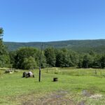 Property photo for land for sale in Le Flore County Oklahoma