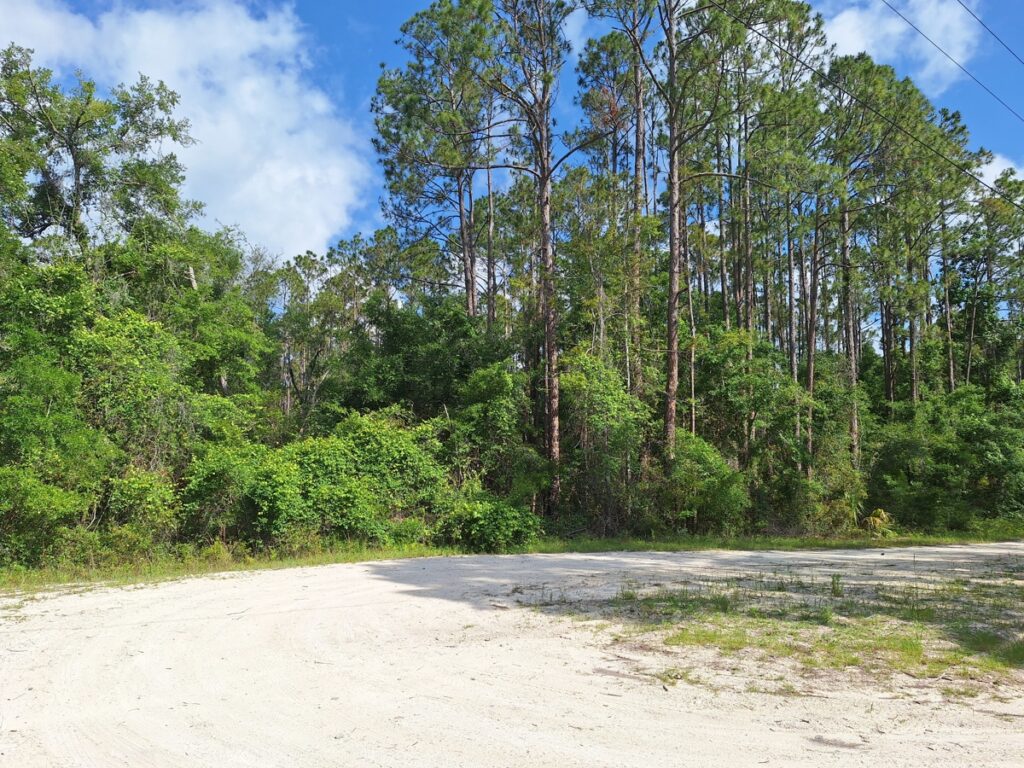 Property photo for land for sale in Dixie County Florida