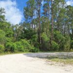 Property photo for land for sale in Dixie County Florida