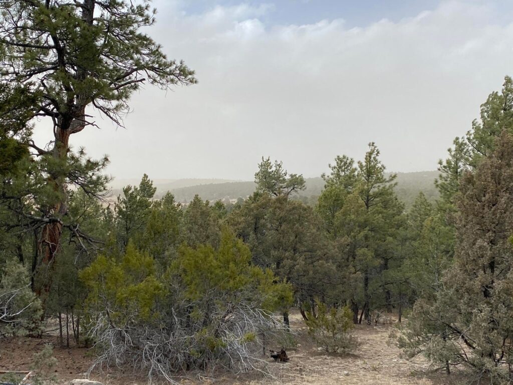 Property photo for land for sale in Bernalillo County New Mexico