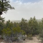 Property photo for land for sale in Bernalillo County New Mexico