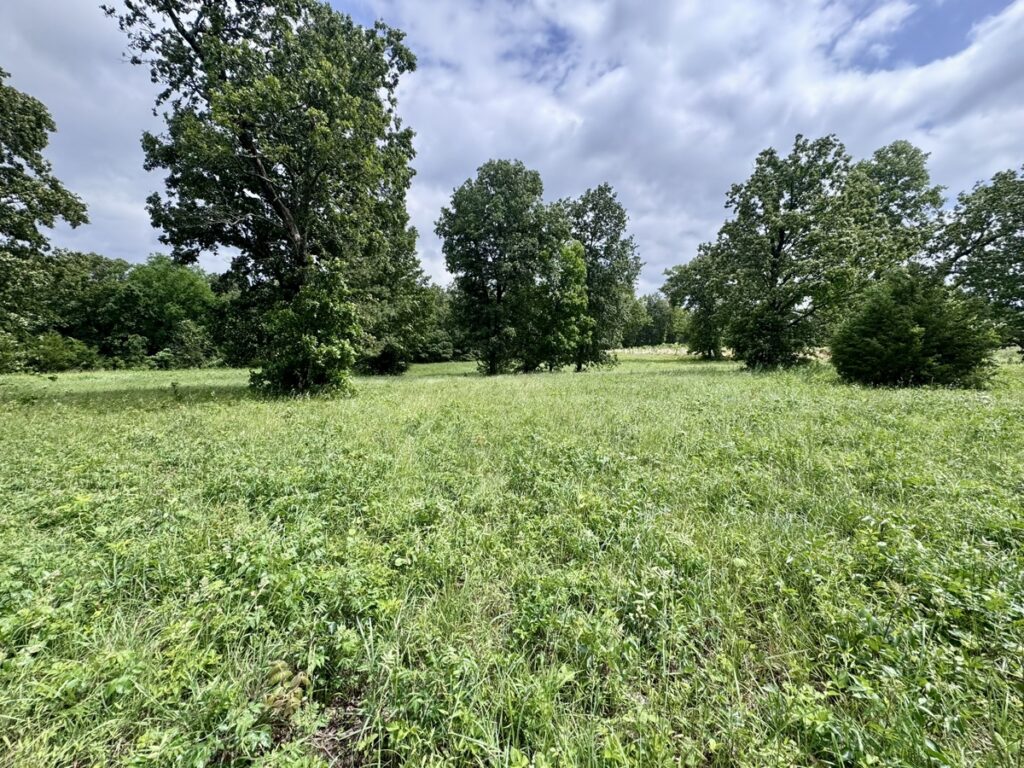 Property photo for land for sale in Sharp County Arkansas