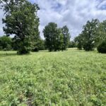 Property photo for land for sale in Sharp County Arkansas