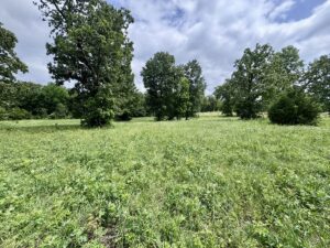 Property photo for land for sale in Sharp County Arkansas