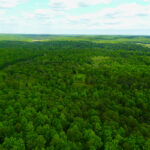 Property photo for land for sale in Ripley County Missouri