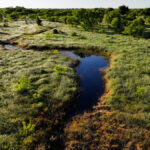 Property photo for land for sale in Archer County Texas