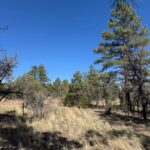 Property photo for land for sale in Rio Arriba County New Mexico