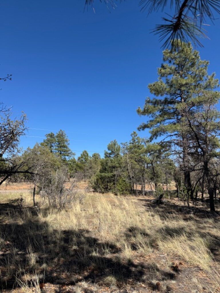 Property photo for land for sale in Rio Arriba County New Mexico