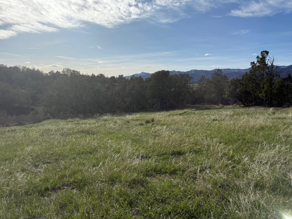 Property photo for land for sale in Mesa County Colorado