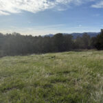 Property photo for land for sale in Mesa County Colorado