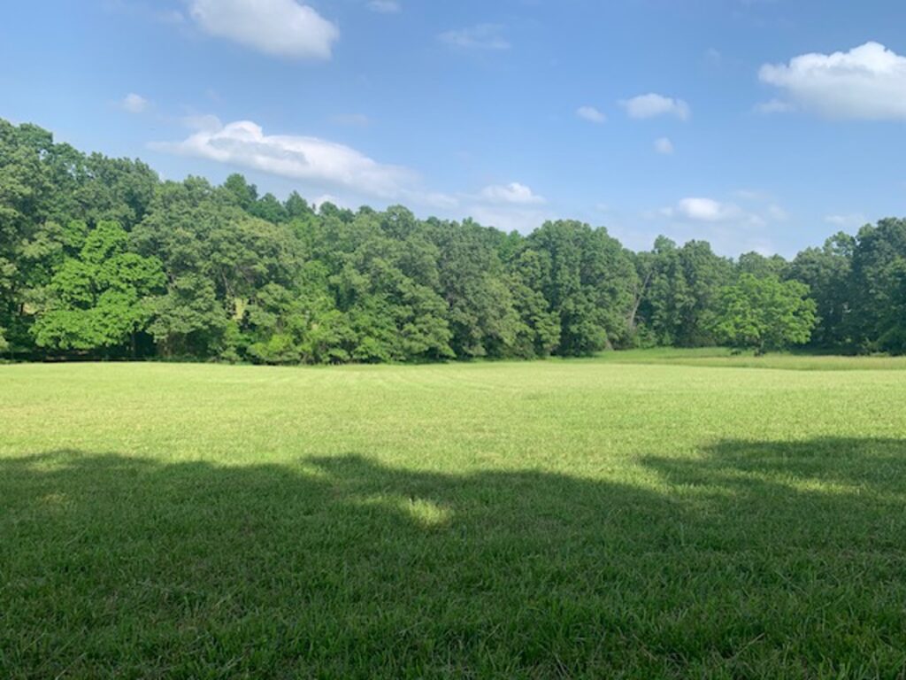 Property photo for land for sale in Marion County Arkansas