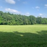 Property photo for land for sale in Marion County Arkansas