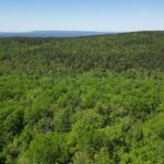 Property photo for land for sale in Pushmataha County Oklahoma