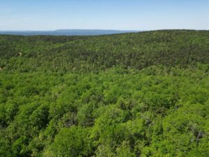 Property photo for land for sale in Pushmataha County Oklahoma