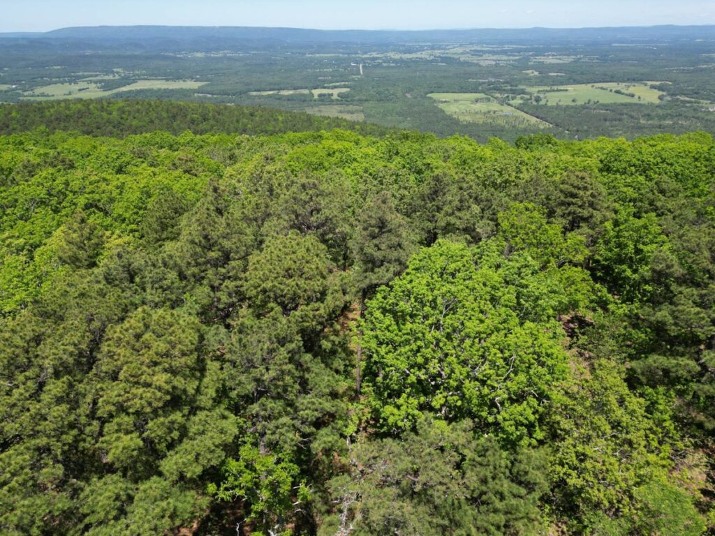 Property photo for land for sale in Pushmataha County Oklahoma