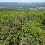 Property photo for land for sale in Pushmataha County Oklahoma