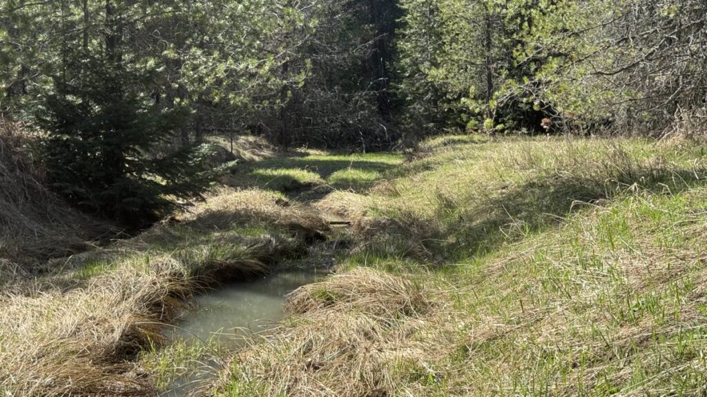 Property photo for land for sale in Clearwater County Idaho