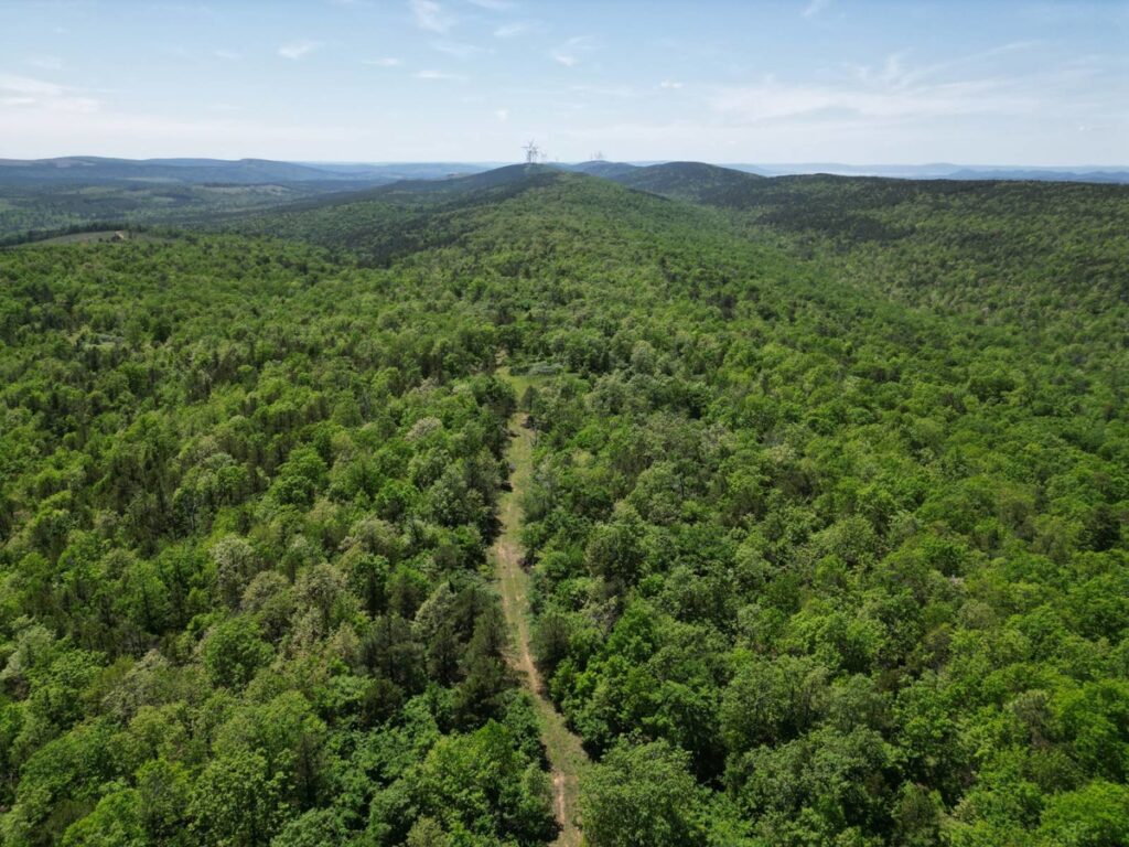 Property photo for land for sale in Pushmataha County Oklahoma