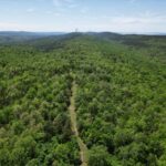 Property photo for land for sale in Pushmataha County Oklahoma