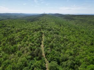 Property photo for land for sale in Pushmataha County Oklahoma