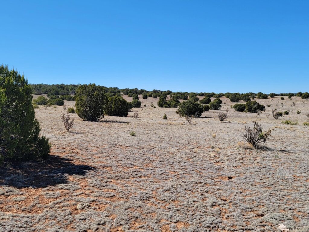 Property photo for land for sale in Torrance County New Mexico