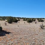 Property photo for land for sale in Torrance County New Mexico