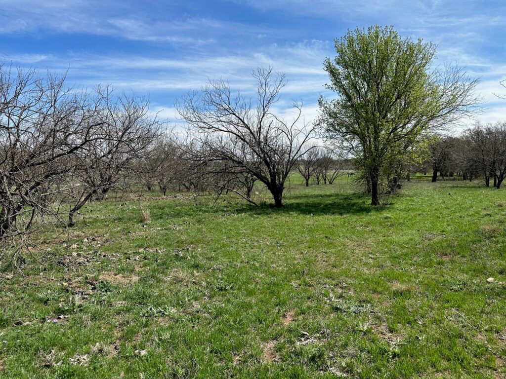 Property photo for land for sale in Brown County Texas